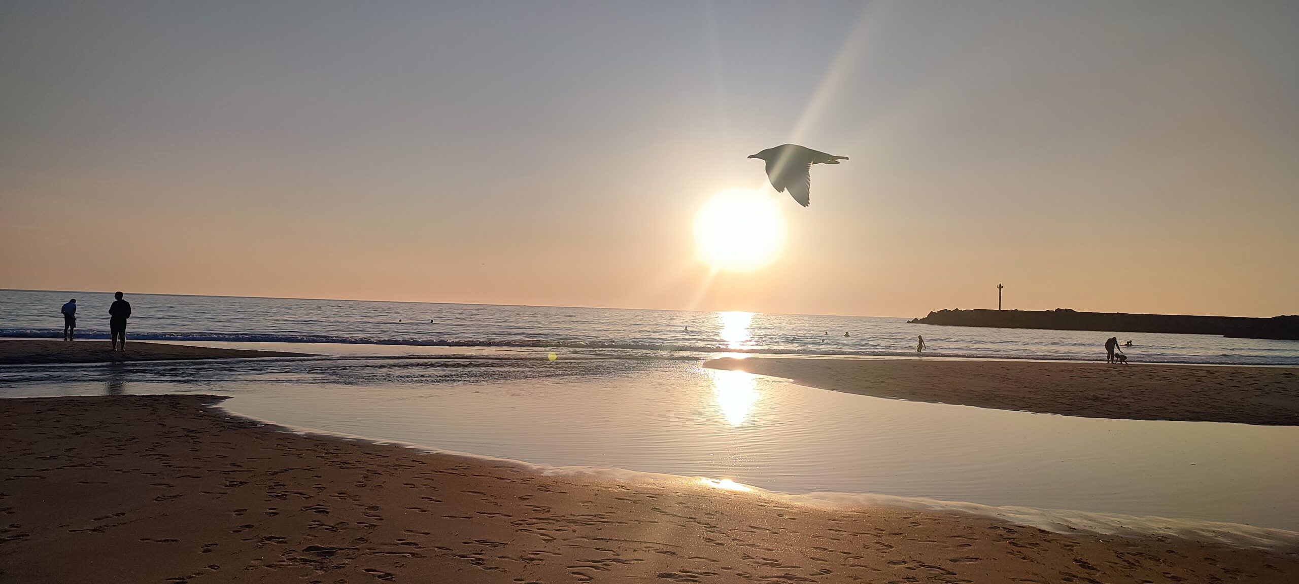 CAMINHO DE SANTIAGO DE COMPOSTELA - 30 de agosto a 05 de setembro de 2026 - Imagem 8
