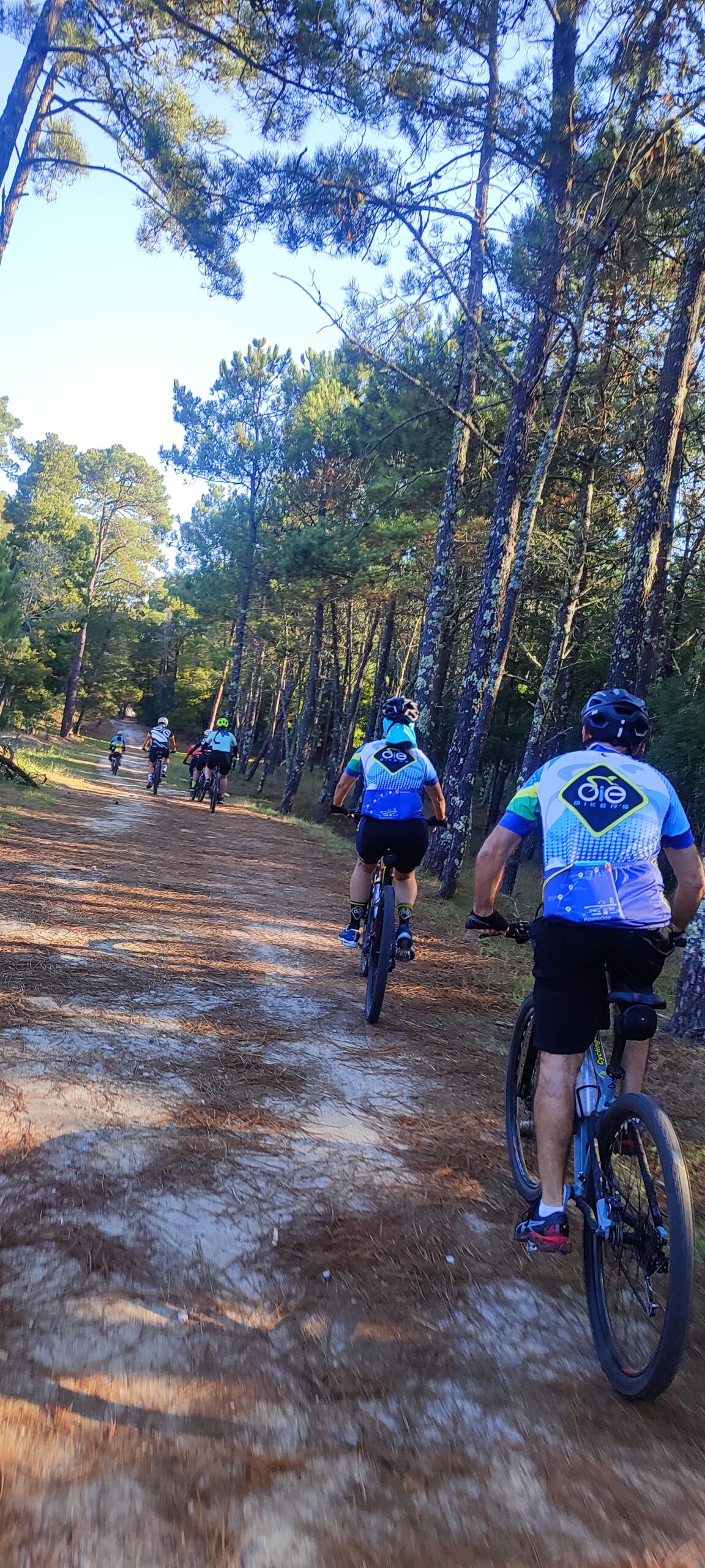 CAMINHO DE SANTIAGO DE COMPOSTELA - 30 de agosto a 05 de setembro de 2026 - Imagem 11